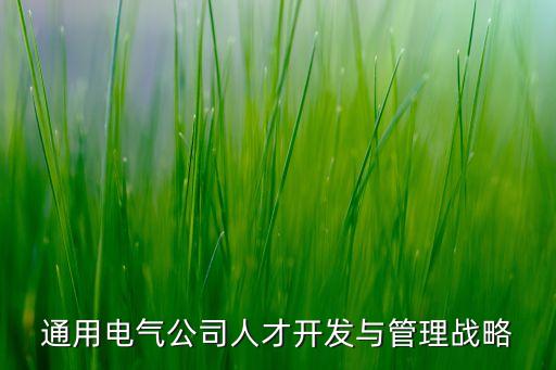 通用電氣公司人才開發(fā)與管理戰(zhàn)略