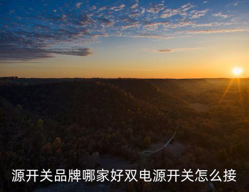 源開關(guān)品牌哪家好雙電源開關(guān)怎么接