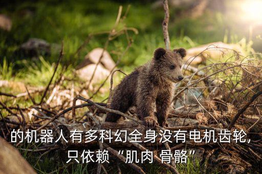 塞班 機器人 翻滾,輕型機器人塞班