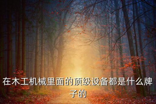 在木工機(jī)械里面的頂級(jí)設(shè)備都是什么牌子的