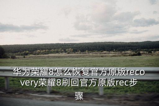 華為榮耀8怎么恢復官方原版recovery榮耀8刷回官方原版rec步驟