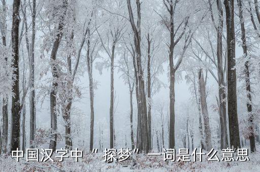 中國漢字中“ 探夢”一詞是什么意思