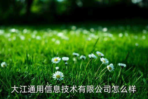 大江通用信息技術(shù)有限公司怎么樣