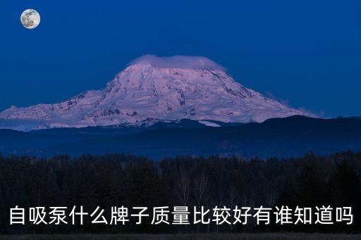 自吸泵什么牌子質(zhì)量比較好有誰(shuí)知道嗎