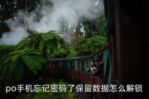 po手機(jī)忘記密碼了保留數(shù)據(jù)怎么解鎖
