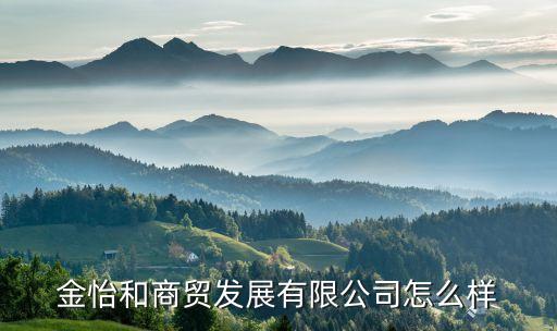 金怡和商貿發(fā)展有限公司怎么樣