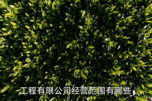 工程有限公司經(jīng)營(yíng)范圍有哪些
