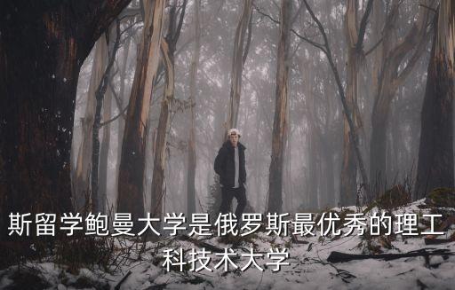 斯留學鮑曼大學是俄羅斯最優(yōu)秀的理工科技術(shù)大學
