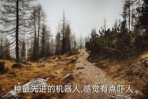 讓癱瘓站起來的機器人,一個能讓殘疾人站起來的機器人