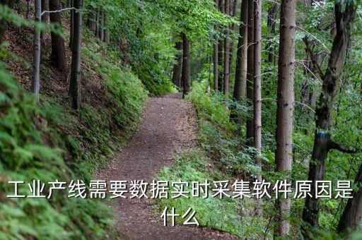 工業(yè)產(chǎn)線需要數(shù)據(jù)實時采集軟件原因是什么