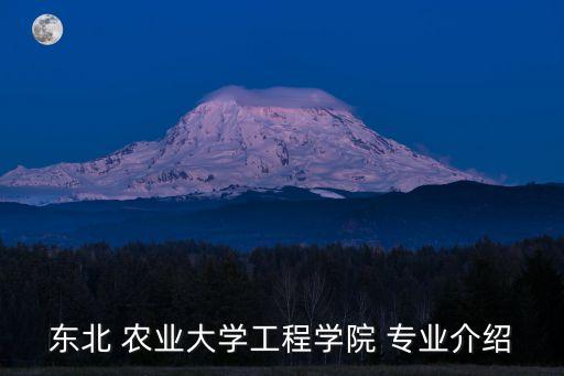 東北 農(nóng)業(yè)大學(xué)工程學(xué)院 專業(yè)介紹
