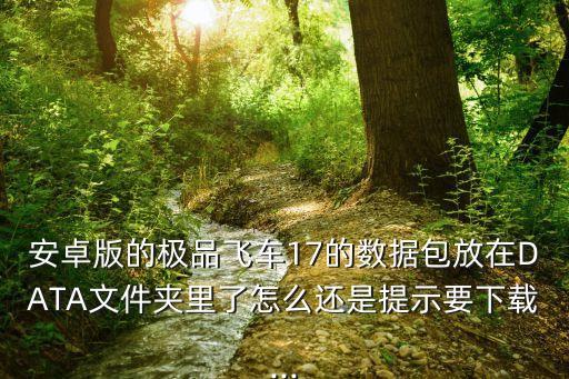 極品飛車(chē)17數(shù)據(jù)包,新版極品飛車(chē)17