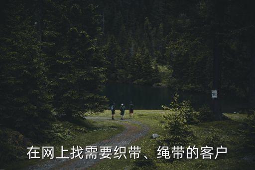 織帶相關(guān)自動(dòng)化設(shè)備,全自動(dòng)帶式織機(jī)