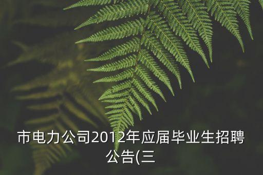 市電力公司2012年應(yīng)屆畢業(yè)生招聘公告(三