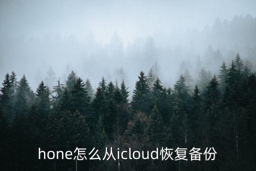 iCloud恢復(fù)軟件數(shù)據(jù),iCloud如何恢復(fù)軟件數(shù)據(jù)?