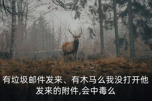有垃圾郵件發(fā)來、有木馬么我沒打開他發(fā)來的附件,會中毒么