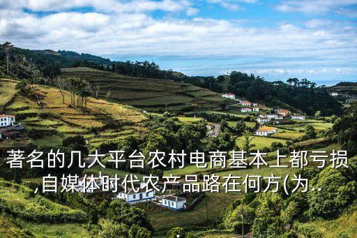 著名的幾大平臺(tái)農(nóng)村電商基本上都虧損,自媒體時(shí)代農(nóng)產(chǎn)品路在何方(為...