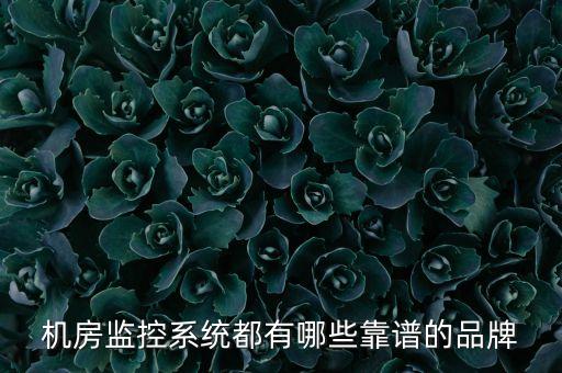 自動化機(jī)房巡檢設(shè)備圖片,數(shù)據(jù)中心機(jī)房巡檢管理有何疏漏?