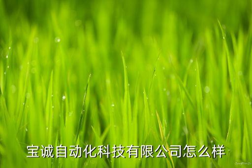寶誠自動化科技有限公司怎么樣