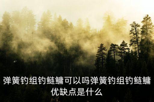 彈簧釣組釣鰱鳙可以嗎彈簧釣組釣鰱鳙優(yōu)缺點(diǎn)是什么