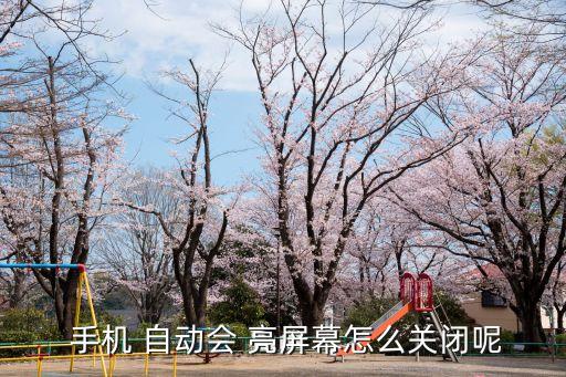 手機 自動會 亮屏幕怎么關(guān)閉呢