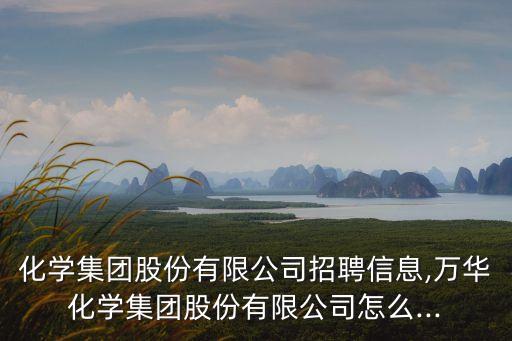 化學(xué)集團(tuán)股份有限公司招聘信息,萬華化學(xué)集團(tuán)股份有限公司怎么...