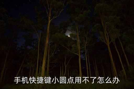 手機(jī)快捷鍵小圓點(diǎn)用不了怎么辦