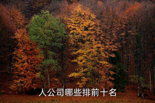 人公司哪些排前十名