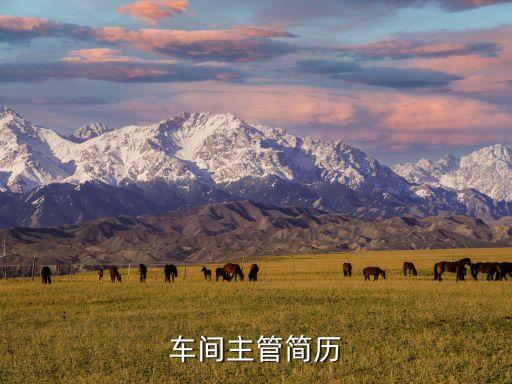 自動(dòng)化機(jī)械設(shè)備改造,樁本自動(dòng)化機(jī)械設(shè)備有限公司