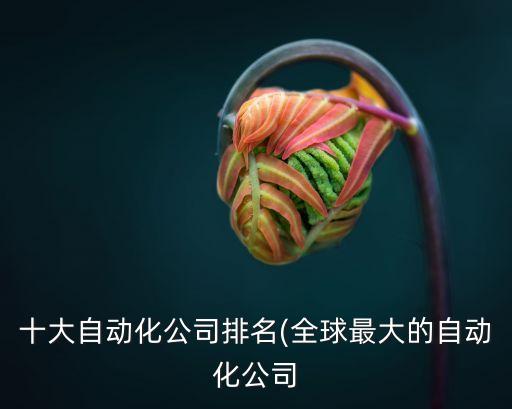 德國(guó)的自動(dòng)化制造公司排名,自動(dòng)化設(shè)備制造公司