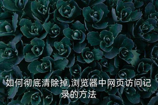 無法移除網(wǎng)站數(shù)據(jù),移除所有網(wǎng)站數(shù)據(jù)會怎么樣