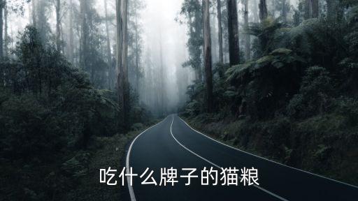 貓糧自動化喂食設(shè)備設(shè)計,自動貓糧喂食器