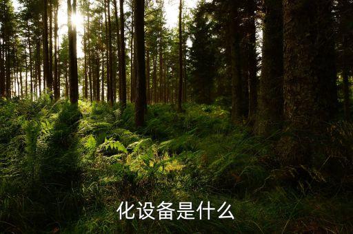 提高自動(dòng)化的設(shè)備,洋山港的自動(dòng)化設(shè)備提升了多少?