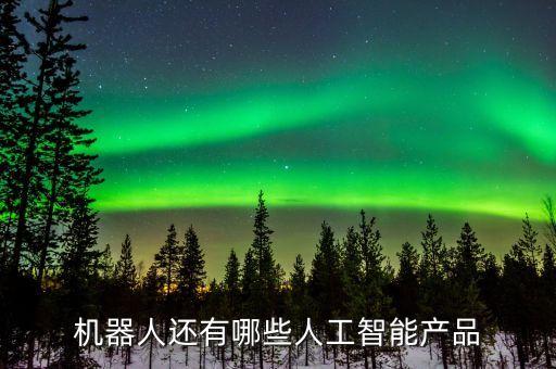 機(jī)器人還有哪些人工智能產(chǎn)品