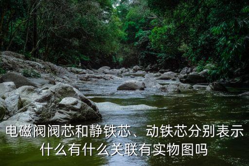 電磁閥閥芯和靜鐵芯、動(dòng)鐵芯分別表示什么有什么關(guān)聯(lián)有實(shí)物圖嗎
