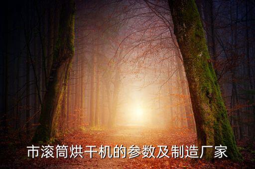 市滾筒烘干機的參數(shù)及制造廠家