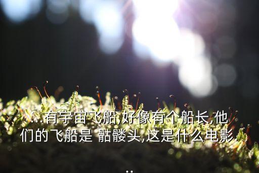 最可怕的骷髏頭機器人,骷髏頭機器人動漫