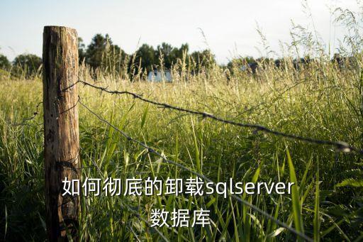 怎樣永久刪除數(shù)據(jù)庫,怎樣徹底刪除mysql數(shù)據(jù)庫