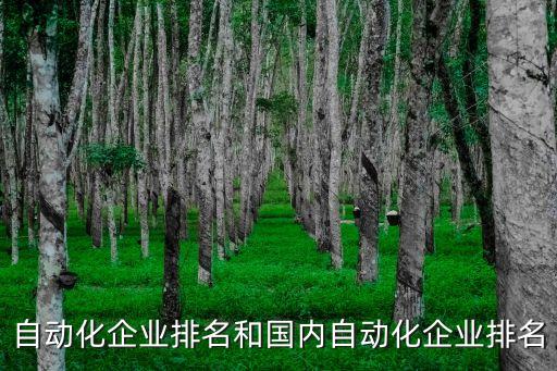 自動(dòng)化企業(yè)排名和國(guó)內(nèi)自動(dòng)化企業(yè)排名