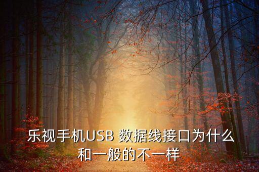  樂(lè)視手機(jī)USB 數(shù)據(jù)線接口為什么和一般的不一樣