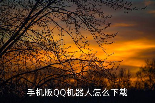 手機(jī)版QQ機(jī)器人怎么下載