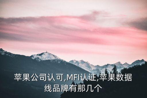 蘋果公司認(rèn)可,MFI認(rèn)證,蘋果數(shù)據(jù)線品牌有那幾個(gè)