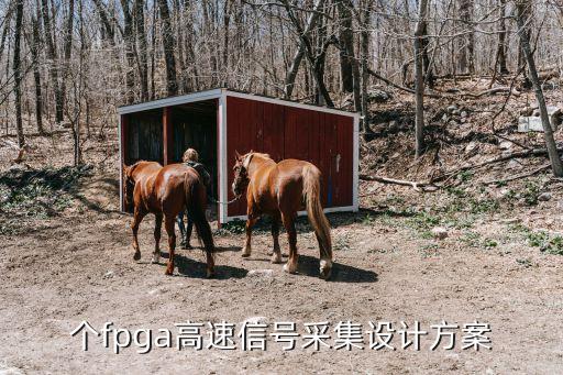 個(gè)fpga高速信號(hào)采集設(shè)計(jì)方案