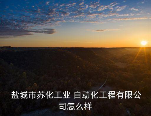  鹽城市蘇化工業(yè) 自動化工程有限公司怎么樣