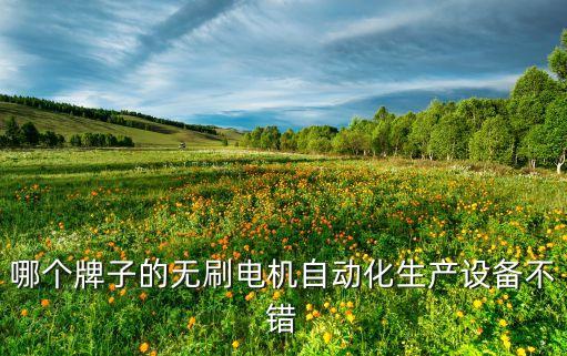 國產(chǎn)自動化設(shè)備排行榜,國內(nèi)自動化設(shè)備排名