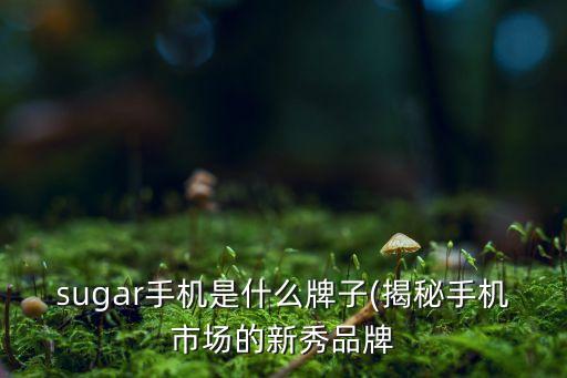 sugar手機是什么牌子(揭秘手機市場的新秀品牌