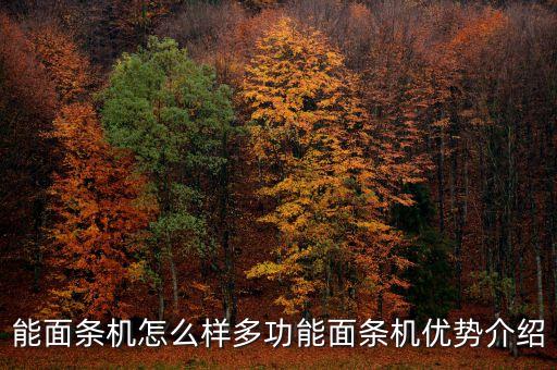 能面條機(jī)怎么樣多功能面條機(jī)優(yōu)勢介紹