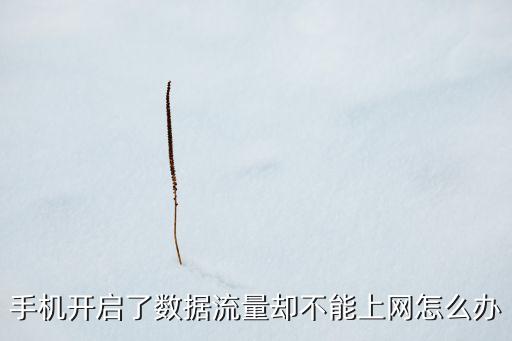 手機(jī)開啟了數(shù)據(jù)流量卻不能上網(wǎng)怎么辦