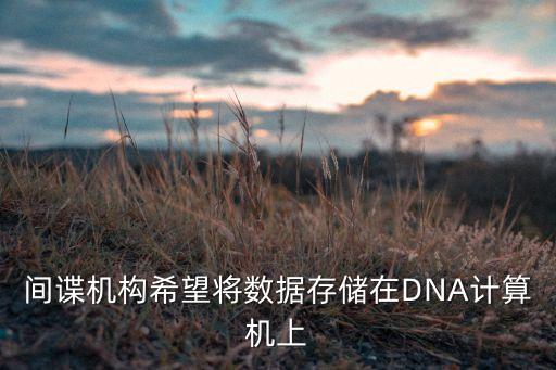 dna數(shù)據(jù)存儲(chǔ)技術(shù),海量數(shù)據(jù)存儲(chǔ)技術(shù)
