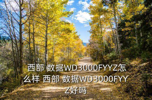  西部 數(shù)據(jù)WD3000FYYZ怎么樣 西部 數(shù)據(jù)WD3000FYYZ好嗎